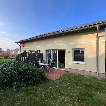 Ferienwohnung Am Muehlenkamp Heringsdorf  Eksteriør billede